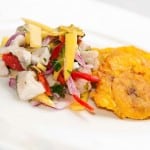 ceviche asiatico